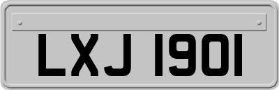 LXJ1901