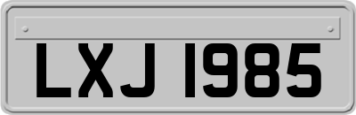LXJ1985