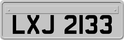 LXJ2133