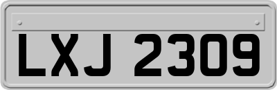 LXJ2309