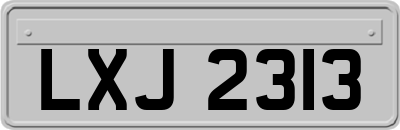 LXJ2313