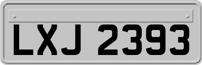 LXJ2393