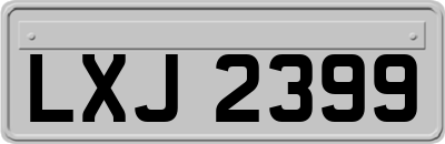LXJ2399