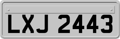 LXJ2443