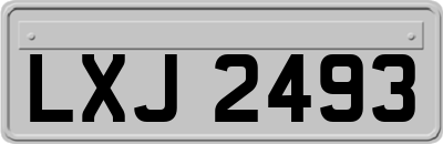 LXJ2493
