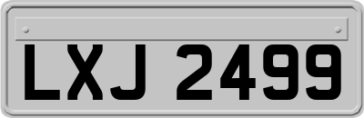 LXJ2499