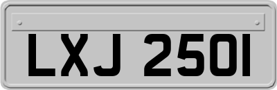LXJ2501