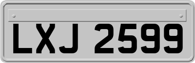 LXJ2599