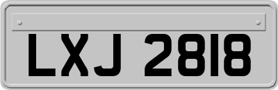 LXJ2818