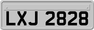 LXJ2828
