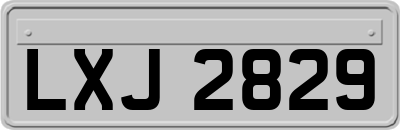 LXJ2829