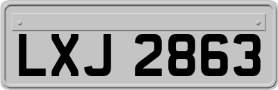 LXJ2863