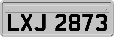 LXJ2873
