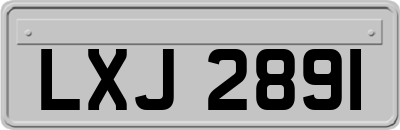 LXJ2891