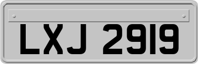 LXJ2919