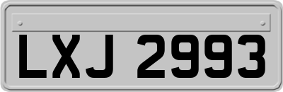 LXJ2993