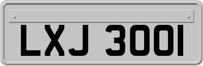 LXJ3001