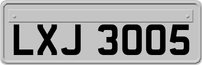 LXJ3005