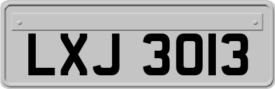 LXJ3013