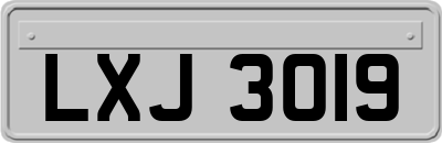 LXJ3019
