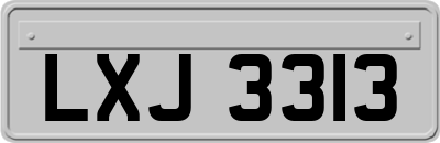 LXJ3313