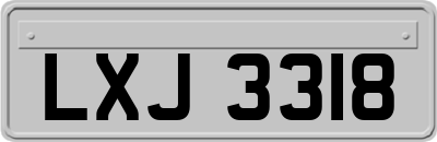 LXJ3318