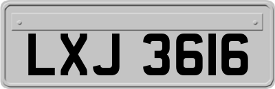 LXJ3616