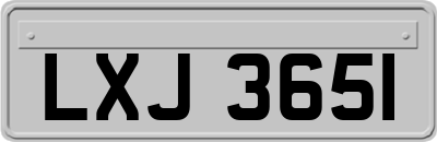 LXJ3651