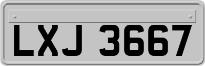 LXJ3667