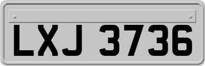 LXJ3736