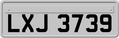 LXJ3739