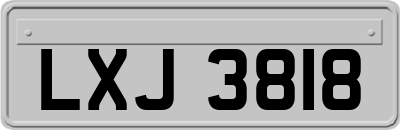 LXJ3818