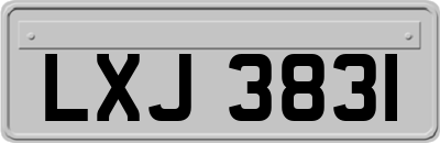 LXJ3831