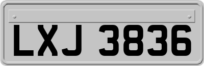 LXJ3836
