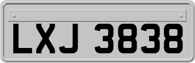 LXJ3838