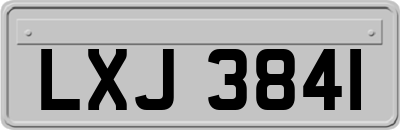 LXJ3841