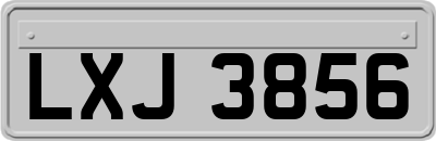 LXJ3856