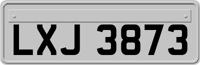 LXJ3873