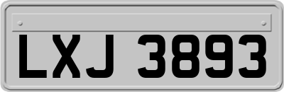 LXJ3893