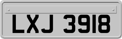LXJ3918