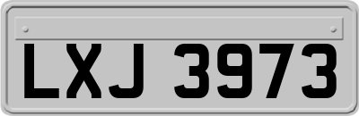 LXJ3973