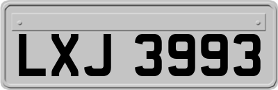 LXJ3993