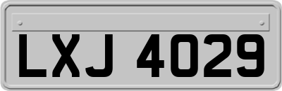LXJ4029