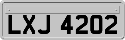 LXJ4202