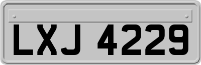 LXJ4229