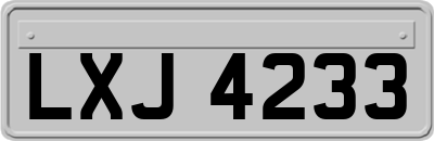 LXJ4233