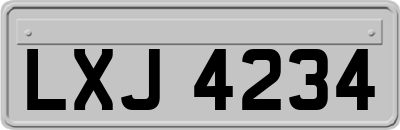 LXJ4234
