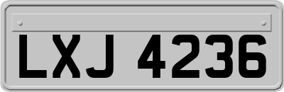 LXJ4236
