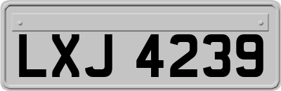 LXJ4239