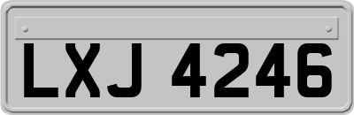LXJ4246